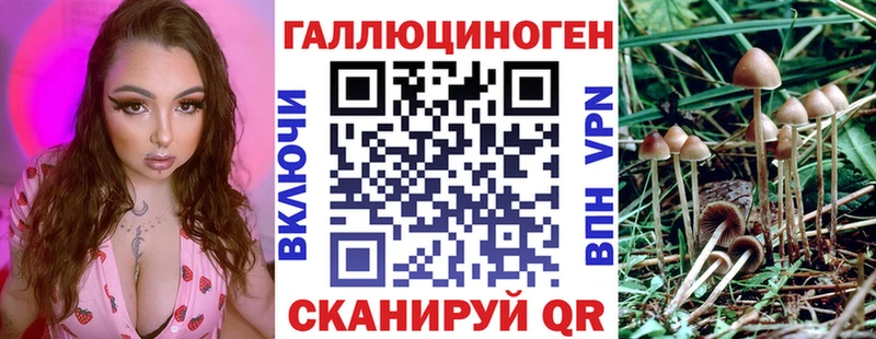 Псилоцибиновые грибы Psilocybe  ссылка на мегу ссылка  Няндома  цены наркотик 